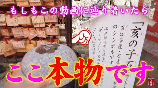 【リモート参拝】もし逃したら2度とありません⚠️見るだけで急激に人生が変わる映像です。見た後に変化はすぐに起こります🌈✨広島東照宮⛩️ 【天下人】トクガワイエヤスコウの恩恵✨【遠隔参拝】