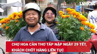 Chợ hoa Cần Thơ tấp nập ngày 29 Tết, khách chốt hàng liên tục | Báo Lao Động