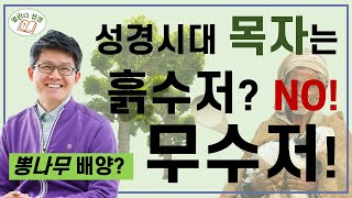 [열린다성경5] 🌾삭개오는 나름 셀럽, 그래서 뽕나무? | 식물(5)