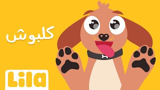 أنا كلبي إسمو كلبوش 🐕 ليلا تي في