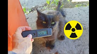 Radioactive Cat Guard of a Soviet tank in Chernobyl