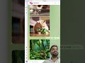 🚀 Image Creation with OpenAI & Telegram | Full Automation Tutorial 📸🤖 #aiagents #n8nautomation