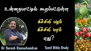 உன்னதபாட்டில் கூறப்பட்டுள்ள கிச்சிலி பழம்/மரம் எது? JesusChrist #SureshRamachandran #TamilBibleStudy