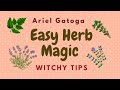 Easy Herb Magic -- Witchy Tips by Ariel Gatoga