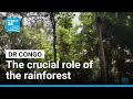 The crucial role of Congo's rainforest • FRANCE 24 English