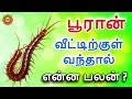 பூரன் வீட்டு வந்தாள் என்ன பலன் பூரான் வீட்டுக்குள் வந்தால் என்ன பலன் பூரன் வீட்டில் வந்தாள்