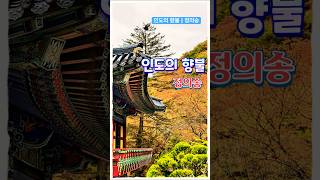 참으로 특이한 음색의 소유자 정의송 | 인도의 향불