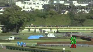 第57回京王杯スプリングカップ(ＧⅡ)東京2012年2回7日11R（5月12日）