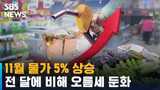 11월 물가 5% 상승…전 달에 비해 오름세 둔화 / SBS