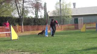 FMBB 2014 - AGILITY TEAM FRANCE