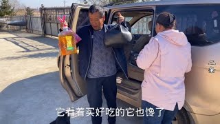 1616 二条家农忙暂停几天，爸妈去赶集都买啥了？小爱看见馋的直蹦高！