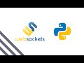 WebSockets with Python and WebSocket API (2020)