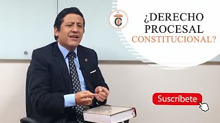 ¿DERECHO PROCESAL CONSTITUCIONAL? - TC 175