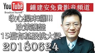 20180624 鍾建安時勢點評 政策護盤15檔有基股挑大梁點評