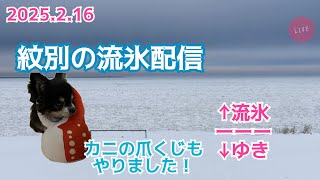 【ライブ】 流氷を見たことがないあなたへ！北見▷▶紋別 北海道をリアルタイムで一緒にドライブしませんか？