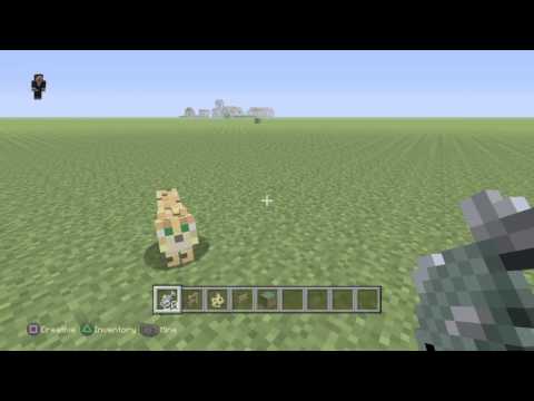 How to tame an ocelot - Minecraft PS4 How to tame an ocelot - Minecraft PS4