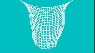[Processing] Art #10 Net