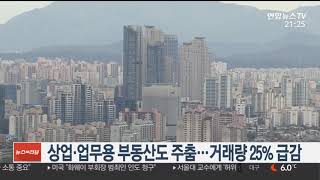 상업ㆍ업무용 부동산도 주춤…거래량 25% 급감 / 연합뉴스TV (YonhapnewsTV)