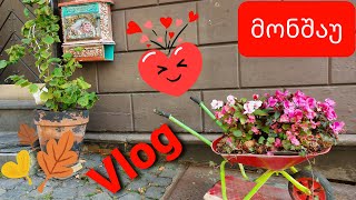 Vlog Monschau / ვლოგი მონშაუ / Nina Todria