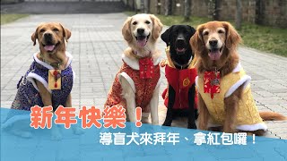 【導盲犬日常#35】新年快樂！導盲犬來拜年、拿紅包囉！