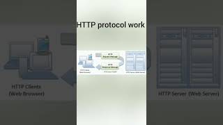 What is HTTP Protocol | Hypertext Transfer Protocol