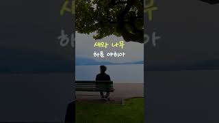 새와 나무 - 하룬 야히아