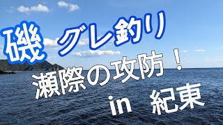 南伊勢の磯釣り  瀬際の攻防！【グレ釣り】【フカセ釣り】【磯釣り】#グレ釣り #磯釣り #釣り#三重県