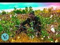 PG RA - Young N*gga Sh*t (Prod. jetsonmade) Shot by @savani