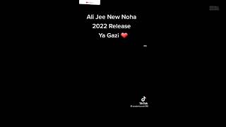 Noha Ya Gazi a.s 😭 1444 | 2022 Ali jee #Pakistan