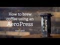 Transcend Coffee | How To Brew Coffee With an AeroPress