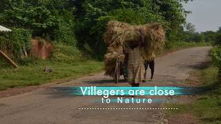 JHARGRAM,THE SEAT OF NATURE(KANKRAJHOR FOREST)