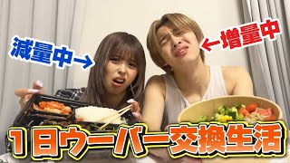 増量中と減量中のきょうだいで１日ウーバー交換生活したら過酷すぎて終わった…