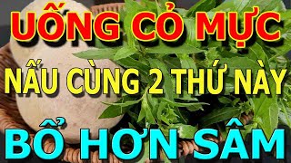 Bớt Cơm Đi, Bữa Tối Cứ UỐNG CỎ MỰC Cùng với THỨ NÀY BỔ GAN THẬN, Sống Trường Thọ KHÔNG Lo BỆNH TẬT