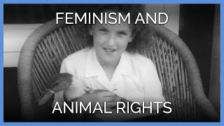 Feminism and Animals Rights