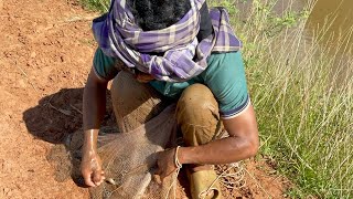 ទឹកស្រកបង់បានត្រីឆ្លូញ #fishing #goodfoodinthevillage #catchingfish _