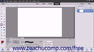 Photoshop Elements 2018 Tutorial Creating Custom Brush Presets Adobe Training