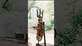 Heaven On Earth Srisailam Dakshina Kailash Of Indian Hindu Pilgrims Jai Bholenath -Lord Shiva