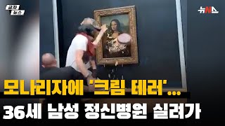 모나리자에 '크림 테러'...36세 남성 정신병원 실려가