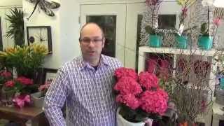 Canadiana Flowers - Florist in Scarborough Bluffs, Toronto