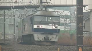 EF210-123号機　福山通運コンテナ　藤沢大カーブ通過