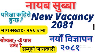 nayab subba vacancy 2081 | nayab subba syllabus 2081 | nasu new vacancy 2081 | nasu new vacancy