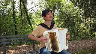 Forest Rhapsody | Nature Music | Accordion Cover