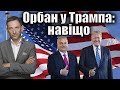 Орбан у Трампа: навіщо | Віталій Портников