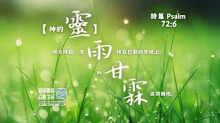 【詩篇136篇，神的慈愛永遠長存】（粵語/广东话）2024 9 4