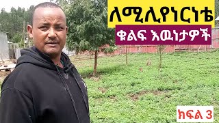 በወተት ላም እርባታ ሚሊየነርነትን ለመጎናጸፍ የሚያስችሉ ቁልፍ እዉነታዎች (Success in DAIRY Farm) ክፍል 3