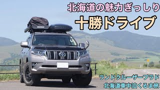 【プラド車中泊旅】北海道の魅力を１日で堪能。満足度の高い十勝・帯広ドライブ【2021夏北海道くるま旅#6】