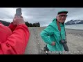 bear viewing in alaska up close encounters with nature