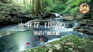 水中花 谭咏麟 国语 歌词版 第一次听是在那年春晚