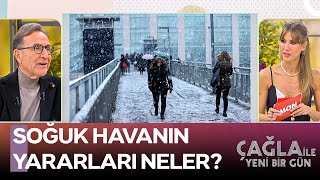 Soğuk Hava Bağışıklığı Güçlendirir - Çağla ile Yeni Bir Gün 1378. Bölüm