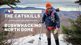 Bushwhacking North Dome, one of the trailless Catskill 3500 peaks